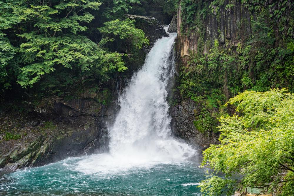 22年版 河津温泉郷旅館おすすめ15選 伊豆の温泉リピーターが徹底紹介 天然温泉 料理自慢 その他周辺のお宿など ページ 2 3 アニーお祝い体験マガジン By ギフトモール