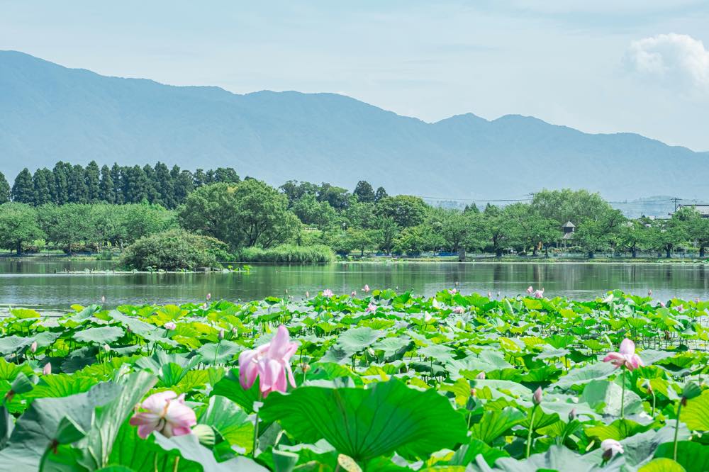 【保存版】村杉温泉旅館おすすめ15選【村杉温泉に魅了されたライターが徹底紹介】ロケーション◎・絶景露天風呂・離れ客室など