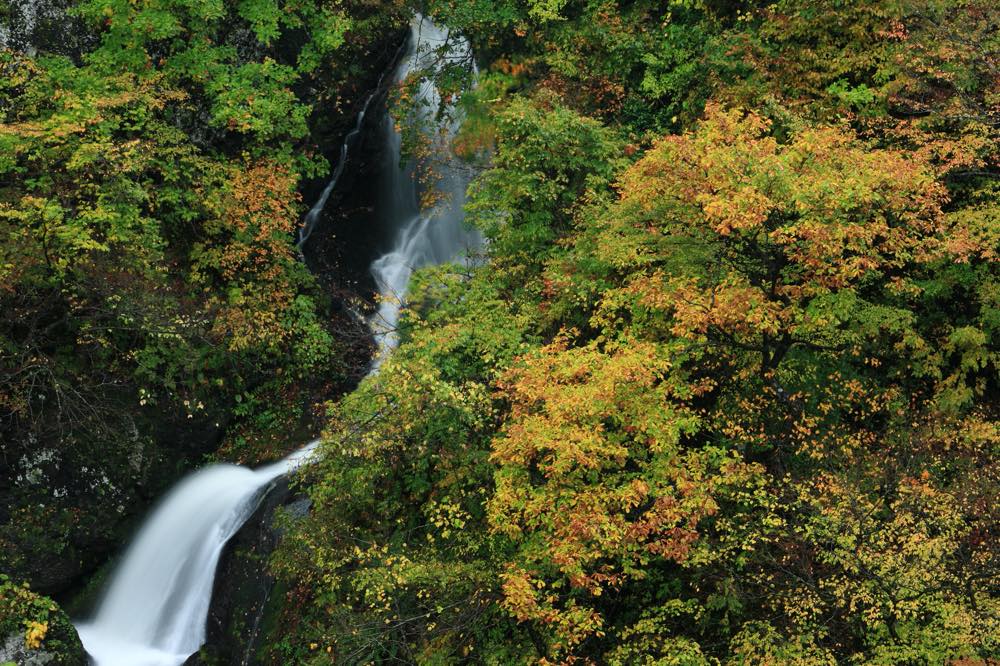 【保存版】鶴岡デートならここ！山形デート経験者おすすめの15スポット【定番から絶景・パワースポットまで】