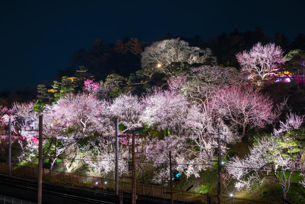 【保存版】夜の茨城ドライブデートならここ！茨城出身筆者おすすめの15スポット【絶景・夜景・ご当地グルメなども】