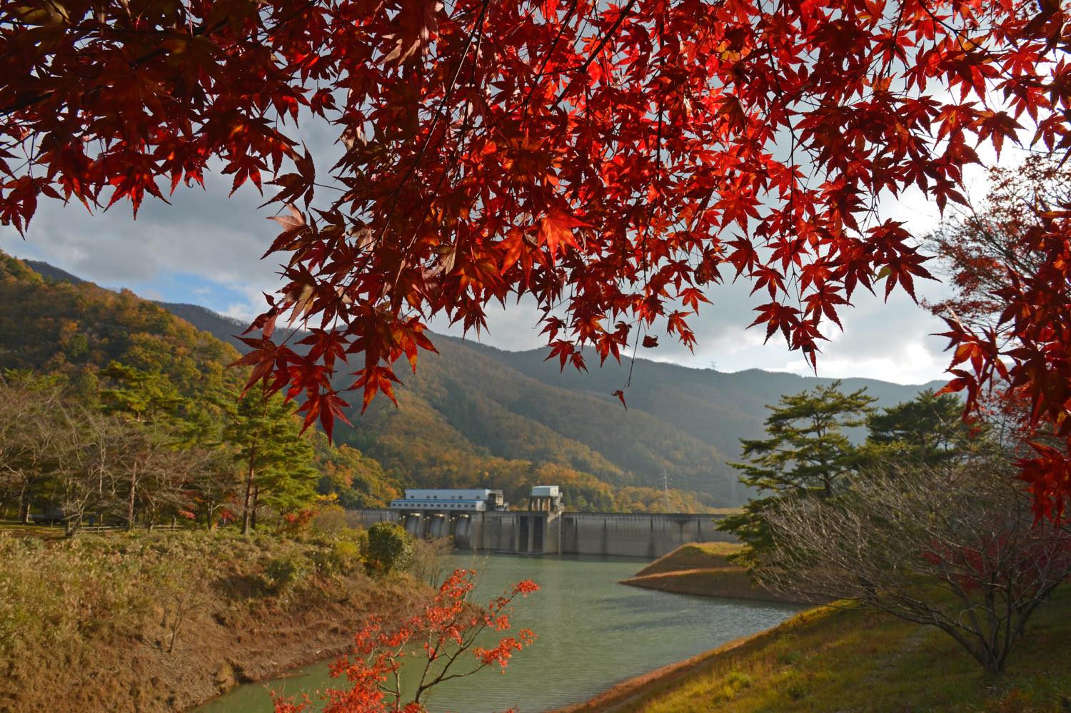 21年版 美山デートならここ 京都大好き筆者おすすめの15スポット 雰囲気のあるレトロ 紅葉 かやぶき屋根 周辺グルメなど アニーお祝い体験マガジン By ギフトモール
