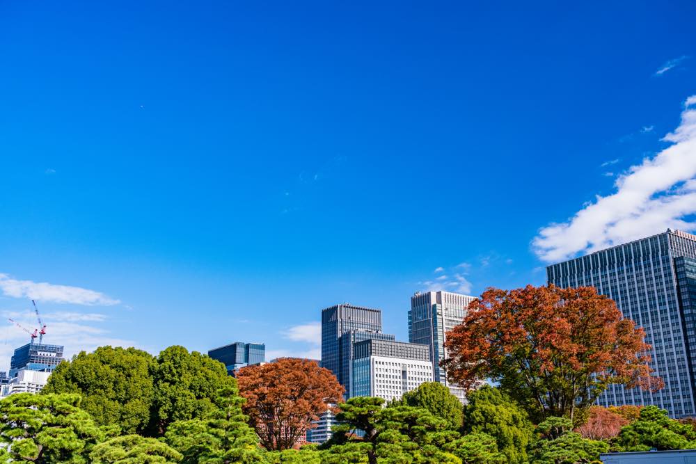 日比谷 公園 デート