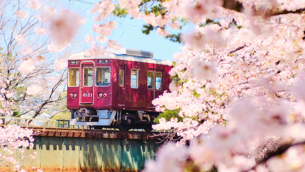 兵庫のおでかけスポット30選！歴史を感じるスポット・散策・絶景など旅行好きな筆者が紹介