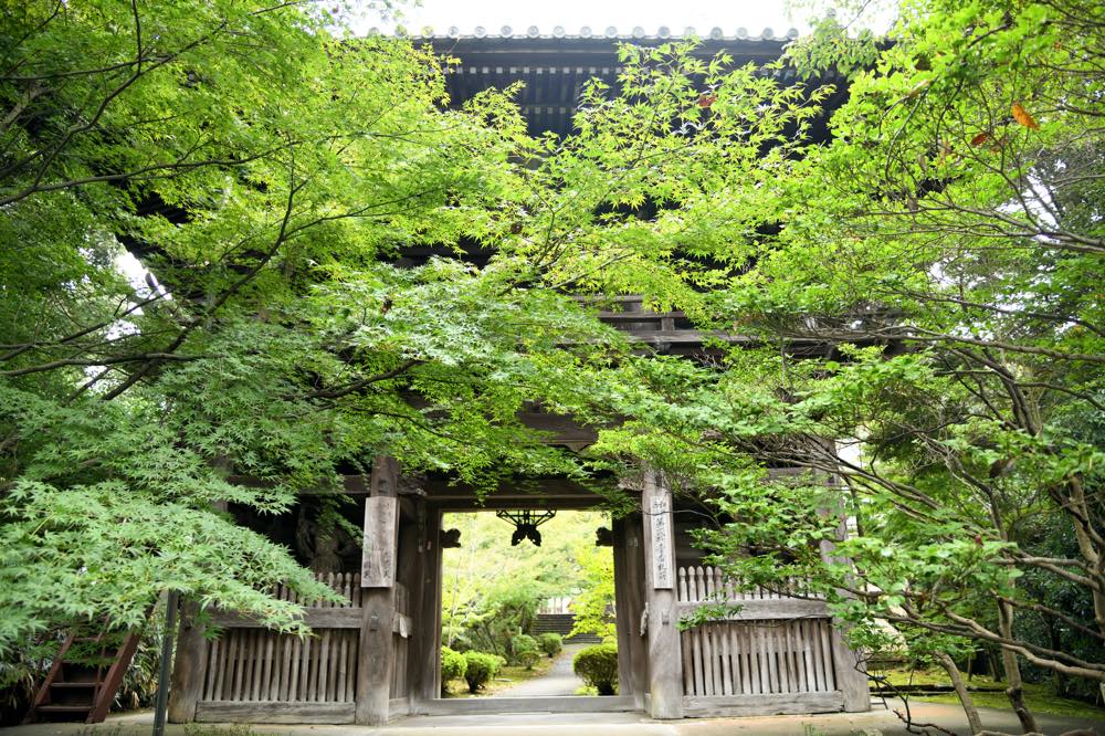 21年版 和泉デートならここ 地元民おすすめの30スポット 定番から寺院 自然 カフェやグルメスポットなど ページ 4 4 アニーお祝い体験マガジン By ギフトモール