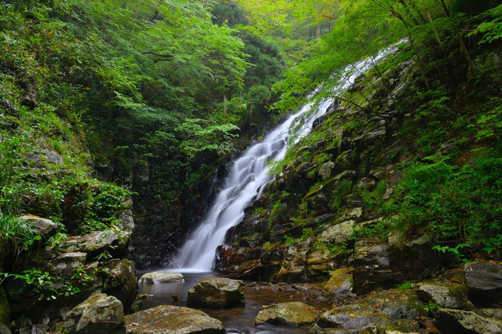 【保存版】津山温泉旅館おすすめ15選【中国地方在住ライターが徹底紹介】食事自慢のお宿・アクセス◎・モダンでおしゃれな旅館など