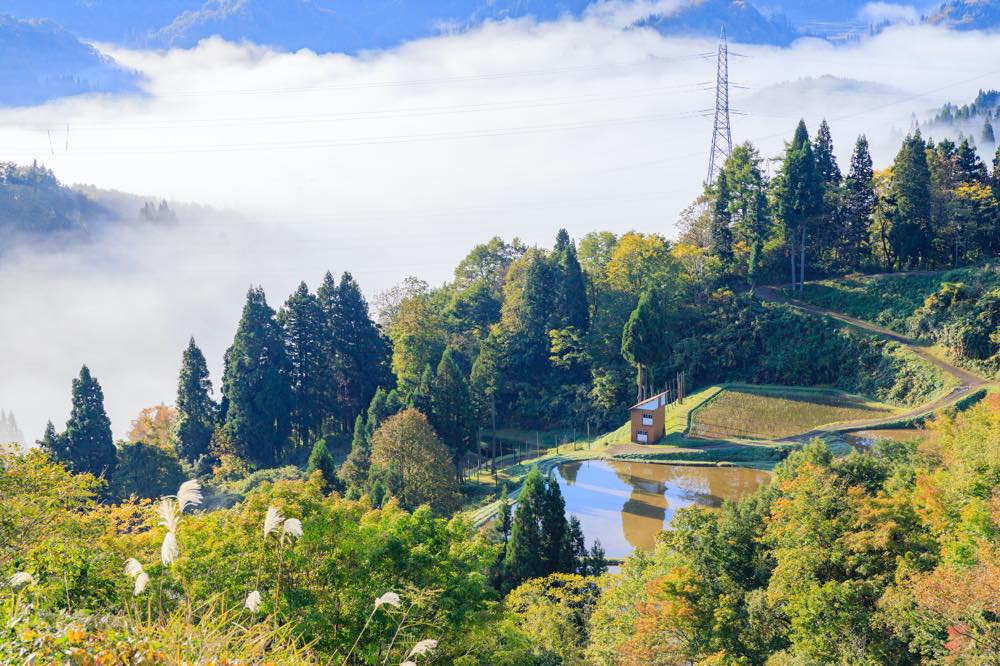 【保存版】松之山温泉旅館おすすめ10選【温泉大好きライターが徹底紹介】露天風呂付き客室・雰囲気◎昭和レトロ・リーズナブルなお宿など