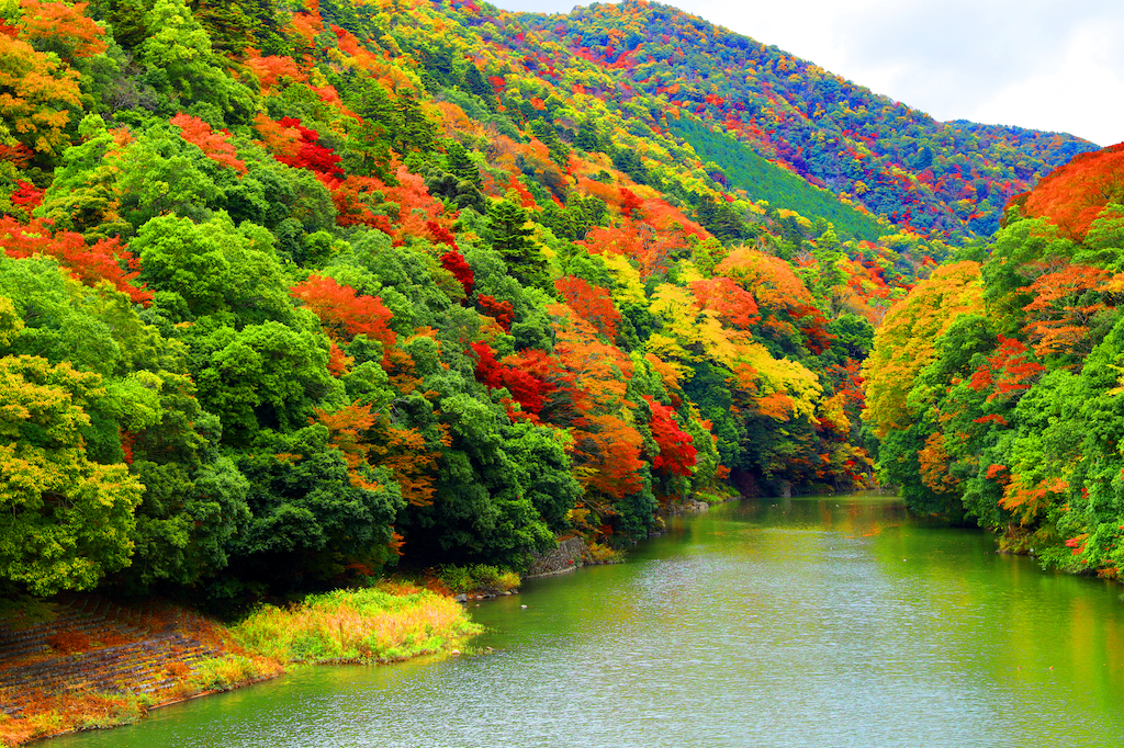 滋賀の紅葉スポット15選！定番・寺社・庭園など関西で生まれ育った筆者が紹介