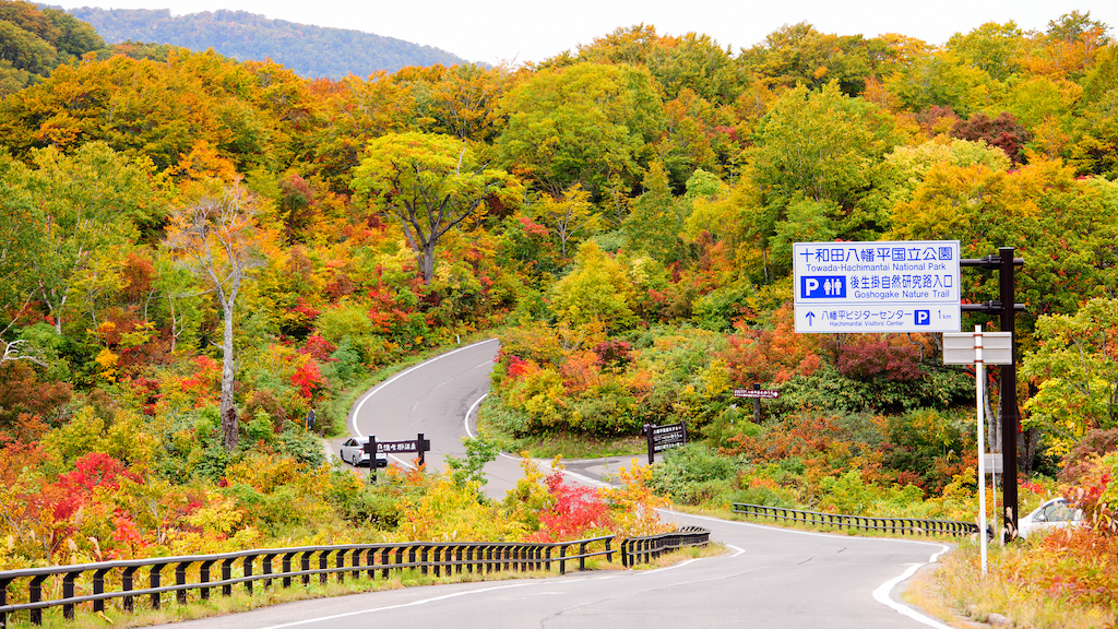 秋田のドライブ観光スポット15選！秋田観光通厳選のレンタカーや車で行きたい旅行スポットはここ！