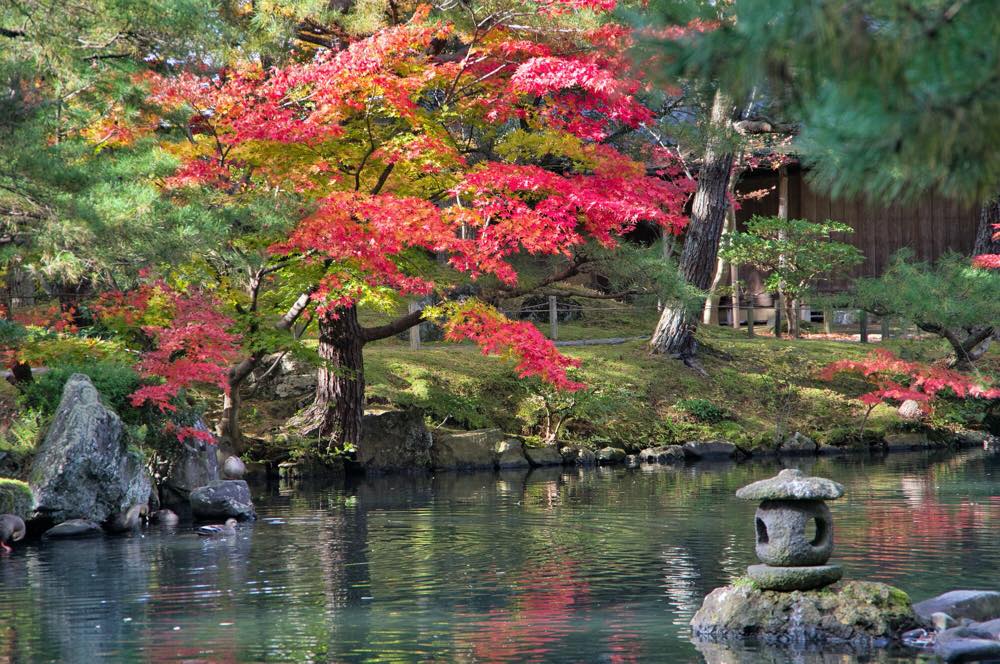 【保存版】長岡ドライブデートならここ！旅好き筆者おすすめの15スポット【紅葉など絶景スポット・SNS映えなスイーツやグルメなども】