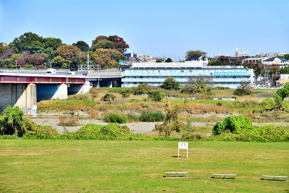 【保存版】世田谷デート50選！関東在住の筆者おすすめの公園・絶景・グルメ・穴場スポット