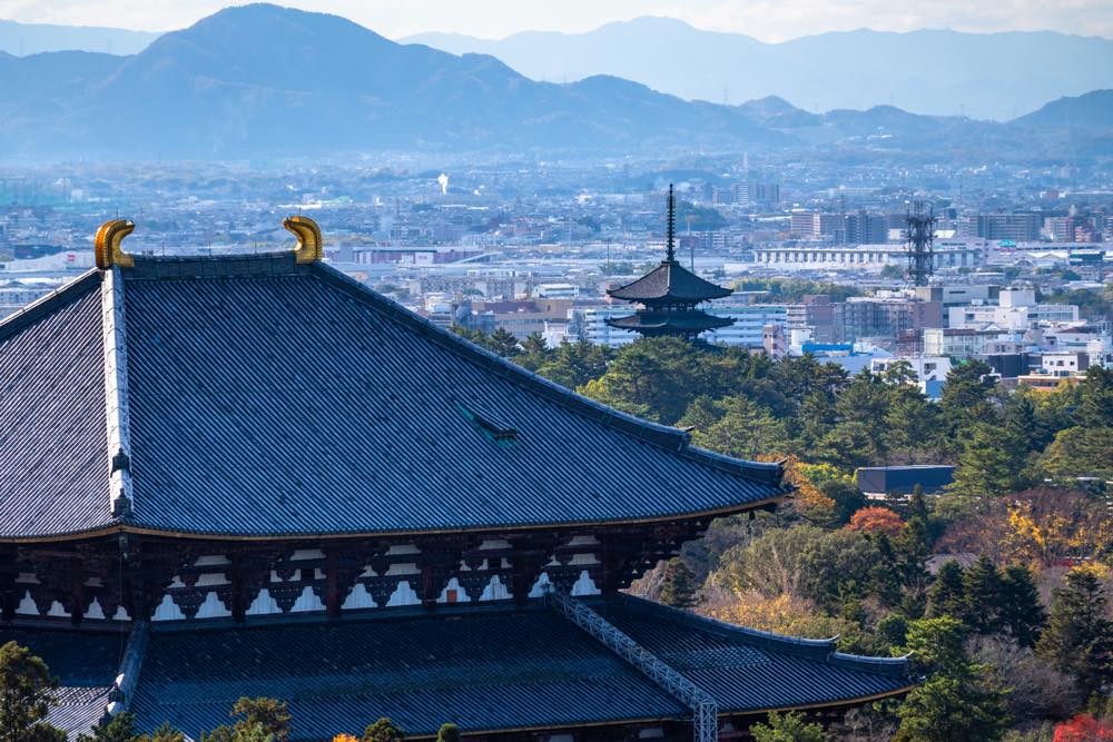 【保存版】奈良の結婚記念日ランチ16選！子連れでも安心な完全個室あり・景色◎・ホテルなどお祝い向きのお店を関西に居住経験ありのライターが厳選