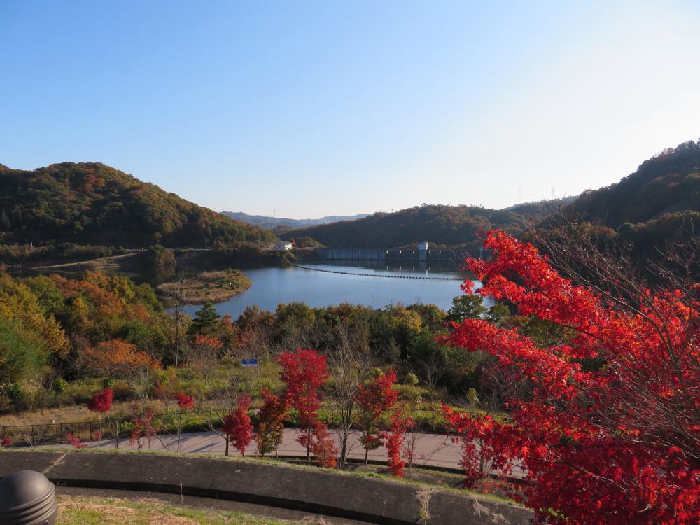 21年版 東広島デートならここ 広島好きライターおすすめの15スポット レジャー パワースポット 夜景 ドライブなど アニーお祝い体験マガジン By ギフトモール