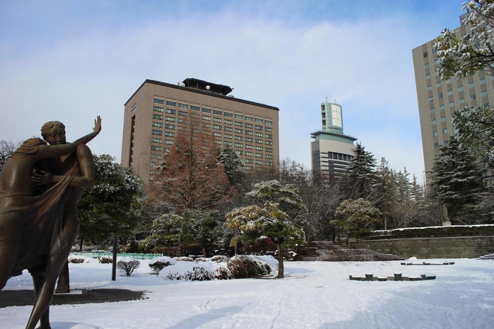 【保存版】仙台のクリスマスランチ20選！ワンランク上の上質空間・予約の取れない人気店・オンリーワンの味のお店など仙台をこよなく愛すライターが厳選