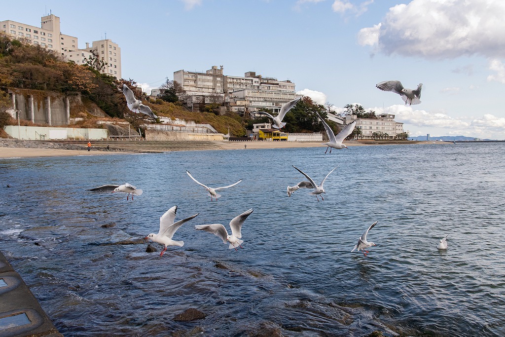 【保存版】三谷温泉とその周辺エリアのおすすめ温泉旅館15選【温泉好きライターが徹底紹介】絶景露天風呂・懐石料理・源泉かけ流しなど