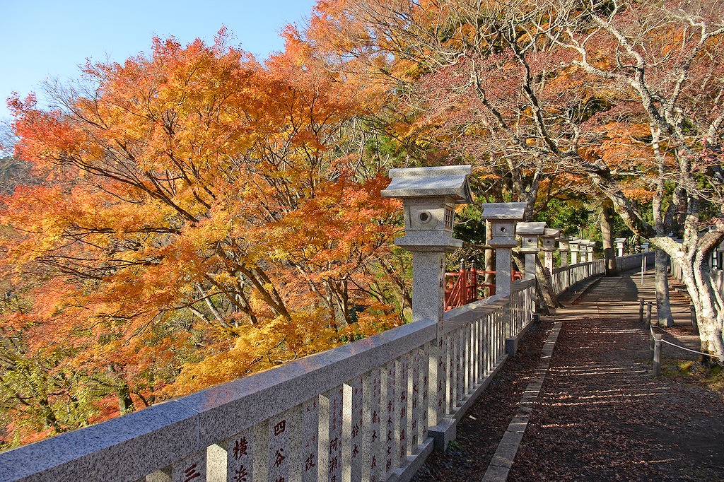 【保存版】伊勢原のディナー15選！カップルのデートや記念日にもおすすめ【旅行好きが徹底ガイド】雰囲気◎・リーズナブル・リッチなお店など