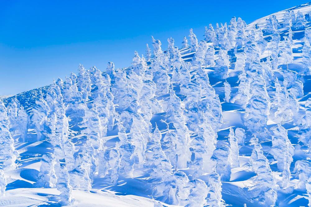 【蔵王温泉】記念日で泊まりたい旅館・ホテル15選！露天風呂・四季の絶景・絶品グルメなど温泉大好きな筆者が徹底調査！