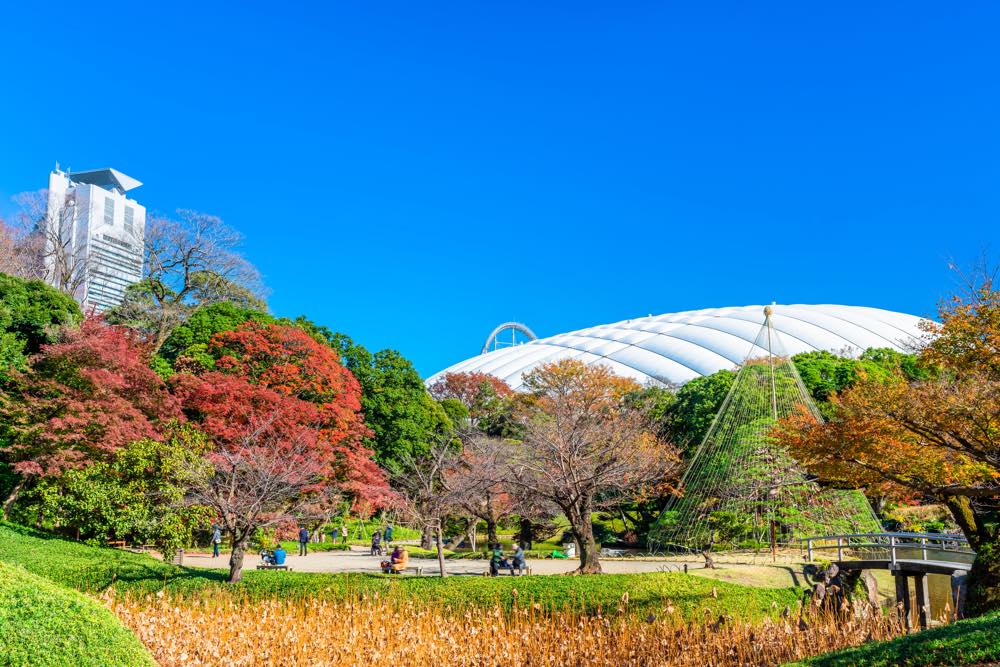 【保存版】後楽園グルメ15選！カップルのデートや記念日にもおすすめ【後楽園通が徹底ガイド】駅近◎フレンチ・イタリアン・焼肉・鉄板焼きなど