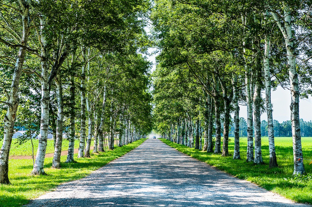 北海道の穴場観光スポット30選！ドライブ・絶景・ショッピングなど旅行好きな筆者が紹介