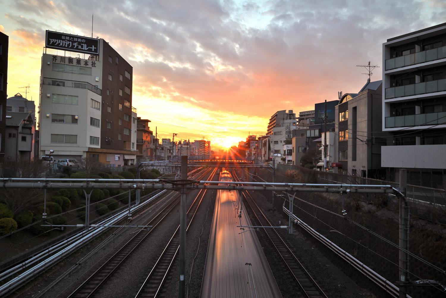 【保存版】駒込でスイーツならここ！駒込に住んだ筆者おすすめの15選【テイクアウトOK・こだわりカフェのケーキ・和スイーツなど】