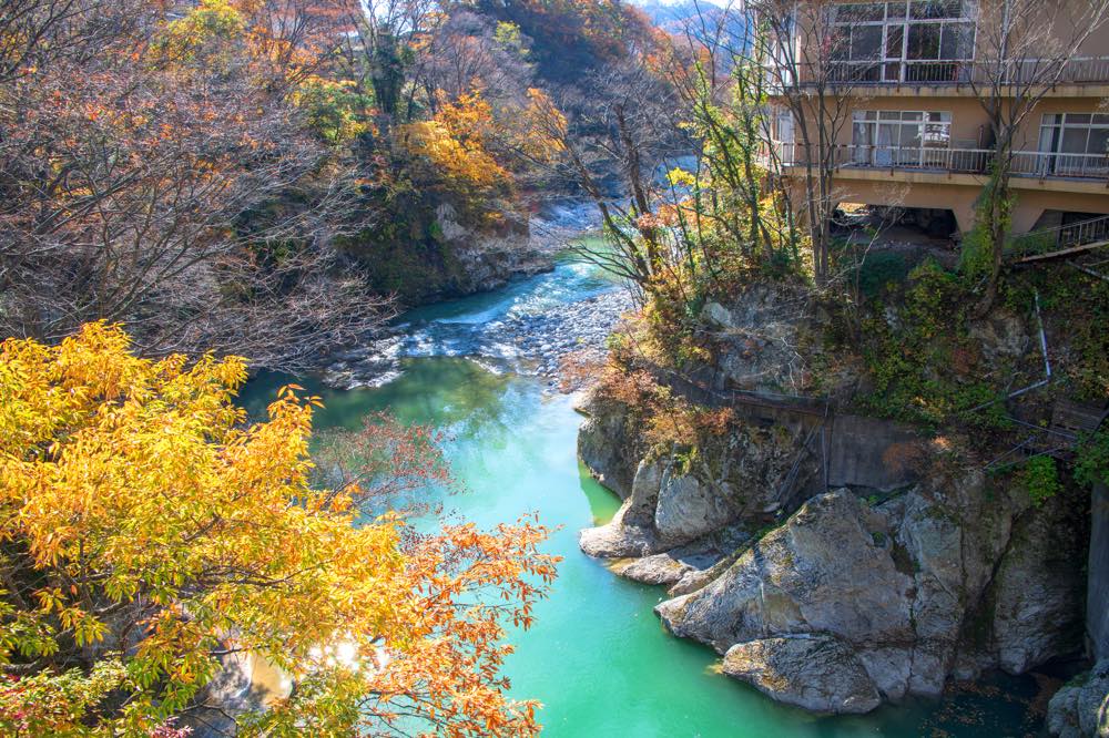 【保存版】水上温泉旅館おすすめ15選【北関東在住温泉好きライターが徹底紹介】客室露天風呂・スイートルーム・自然・料理が美味しいなど