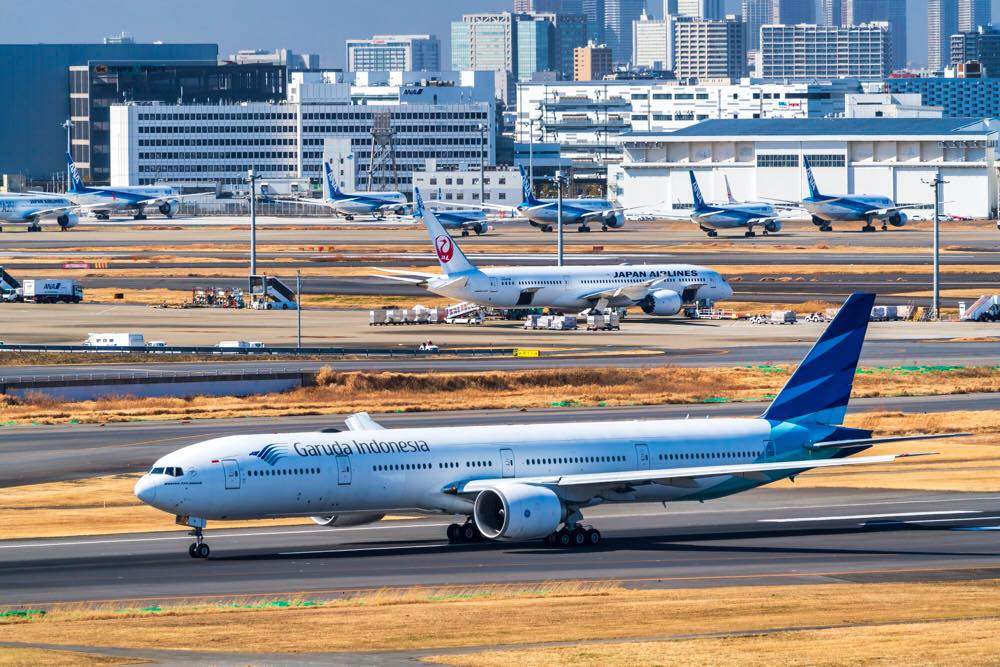 21年版 羽田空港でラーメンならここ 羽田空港をよく利用する筆者おすすめの13選 醤油 味噌 つけ麺などターミナル別に厳選 空港近くのお店まで アニーお祝い体験マガジン By ギフトモール