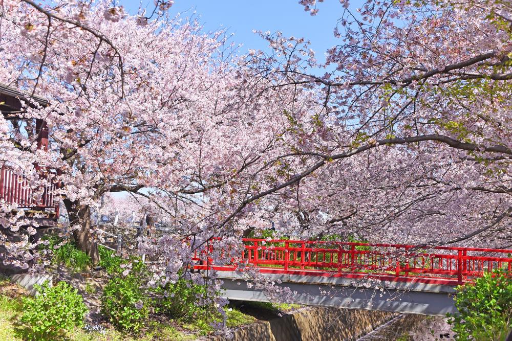 22年版 平塚デート50選 週末は平塚で過ごす筆者おすすめのスポット 神社 屋内施設 自然 グルメなど ページ 3 4 アニーお祝い体験マガジン By ギフトモール