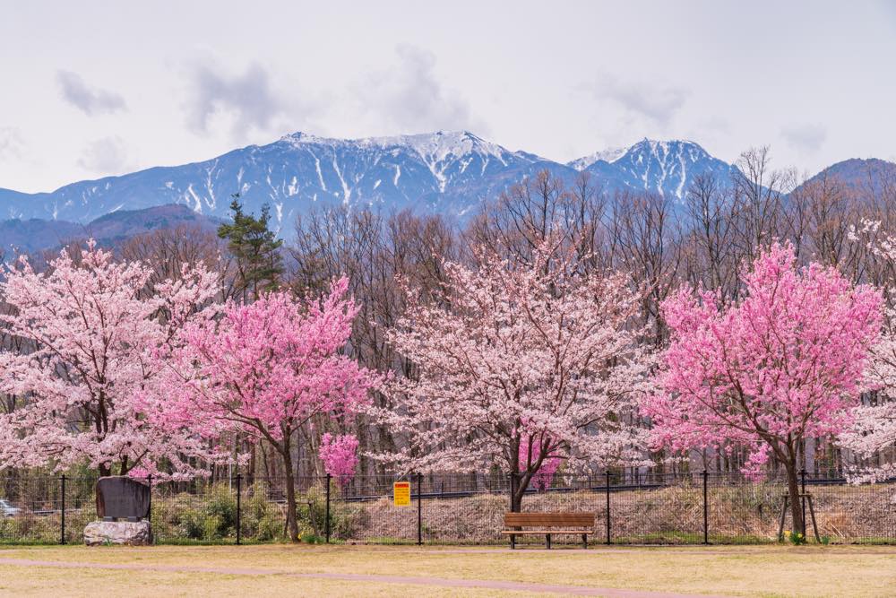 【保存版】韮崎のランチならここ！カップルのデートや記念日にもおすすめ【長野在住者が徹底ガイド】洋食&日本式洋食・カフェ・和食&創作和食など