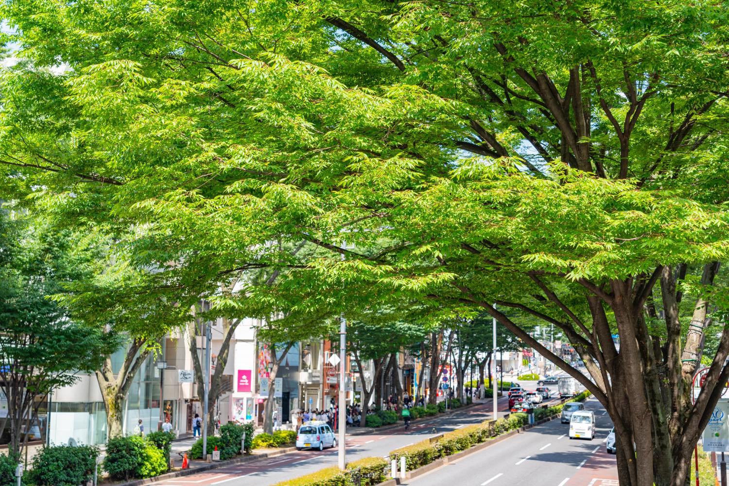 21年版 表参道のフレンチランチならここ カップルのデートや記念日にもおすすめ 表参道通が徹底ガイド 本格フレンチから隠れ家 穴場の店まで アニーお祝い体験マガジン By ギフトモール 21年版 表参道のフレンチランチならここ カップルのデートや記念日にもおすすめ 表参道通が徹底ガイド 本格フレンチから隠れ家 穴場の店まで アニーお祝い体験マガジン By ギフトモール