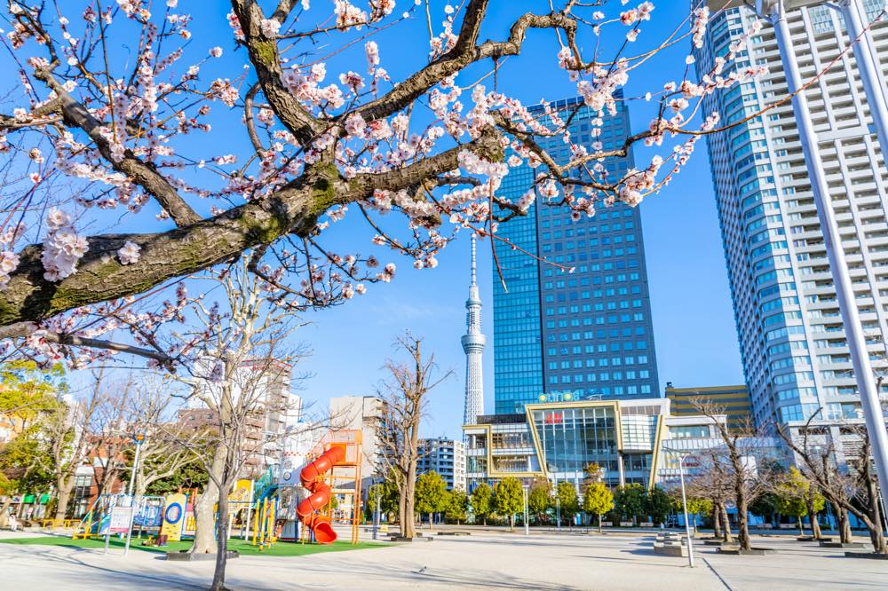 【保存版】錦糸町でイタリアンならここ！関東在住の筆者おすすめの15選【駅チカ・大人デート・高級感・コース料理など】