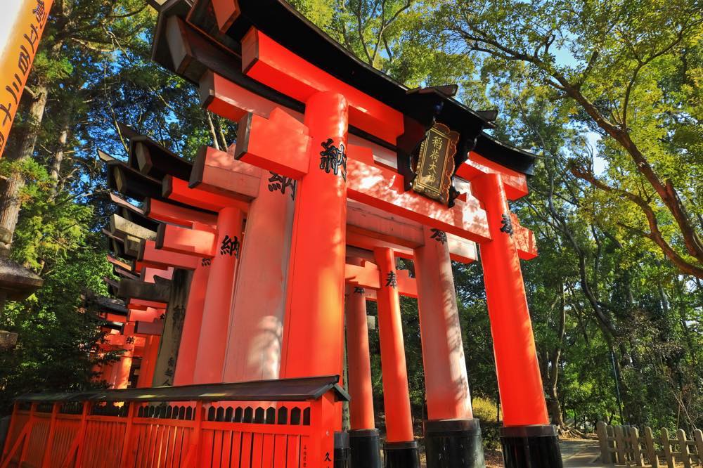 【保存版】京都市伏見区のレストラン15選!カップルのデートや記念日にもおすすめ【関西在中の筆者が徹底ガイド】京料理・老舗・隠れ家カフェなど