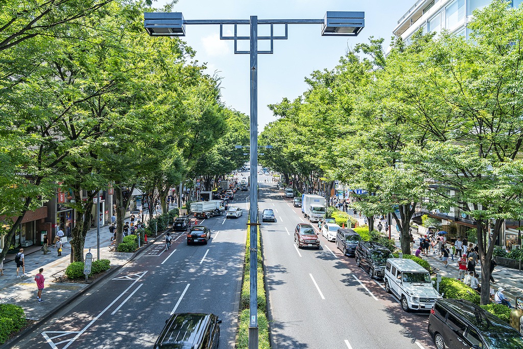 【保存版】表参道の赤ちゃんOKなランチならここ！カップルのデートや記念日にもおすすめ【グルメ好き筆者が徹底ガイド】カジュアル・カフェ・ベビーカーOKなど