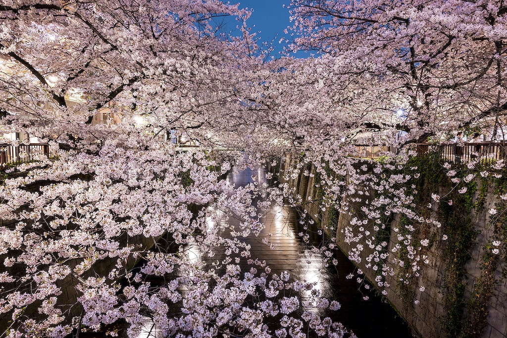 目黒のおいしい居酒屋15選！人気店・おしゃれ・リーズナブルなど飲み会にもおすすめのお店を都内勤務の酒飲みライターが厳選