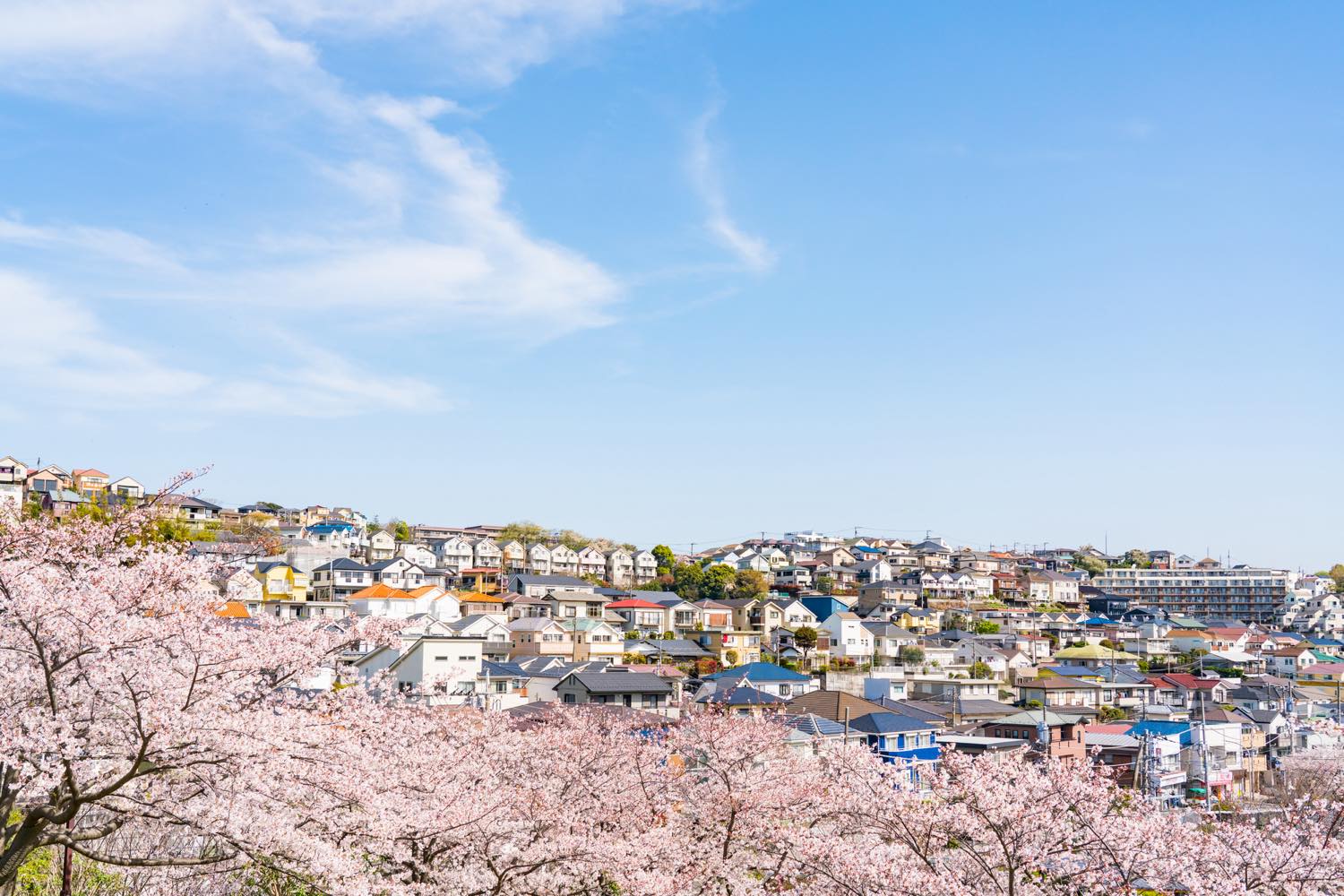 21年版 利府デートならここ 宮城在住筆者のおすすめ15スポット ランチ 公園や絶景スポットまで アニーお祝い体験マガジン By ギフトモール