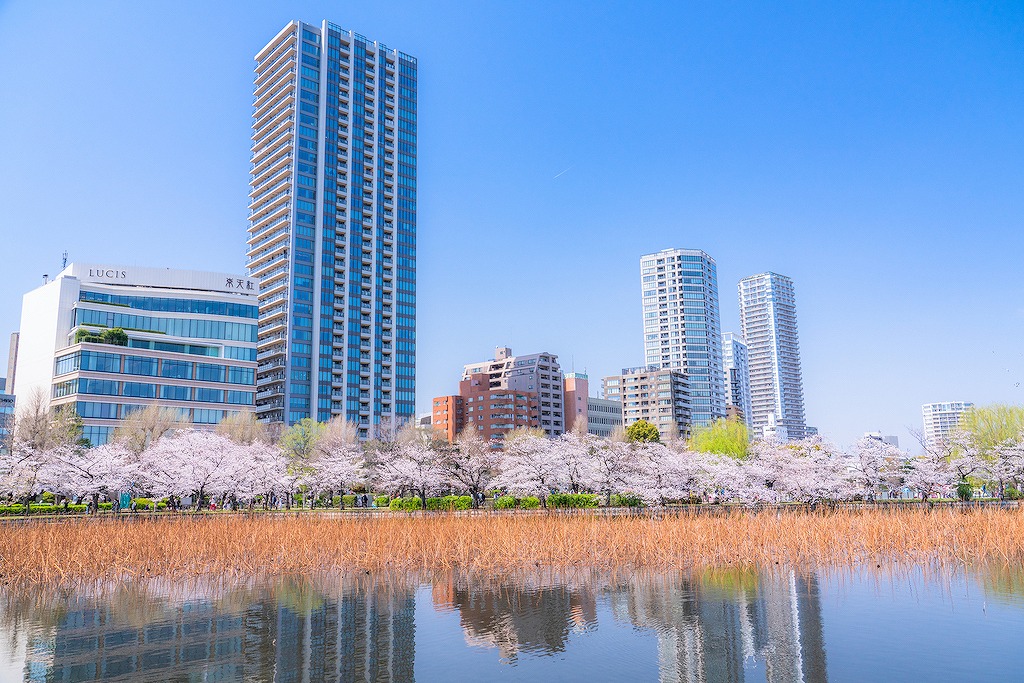 【保存版】上野で海鮮ならここ！街の魅力を知り尽くしたグルメライターおすすめの15選【リーズナブル・高級店・海鮮丼・寿司など】