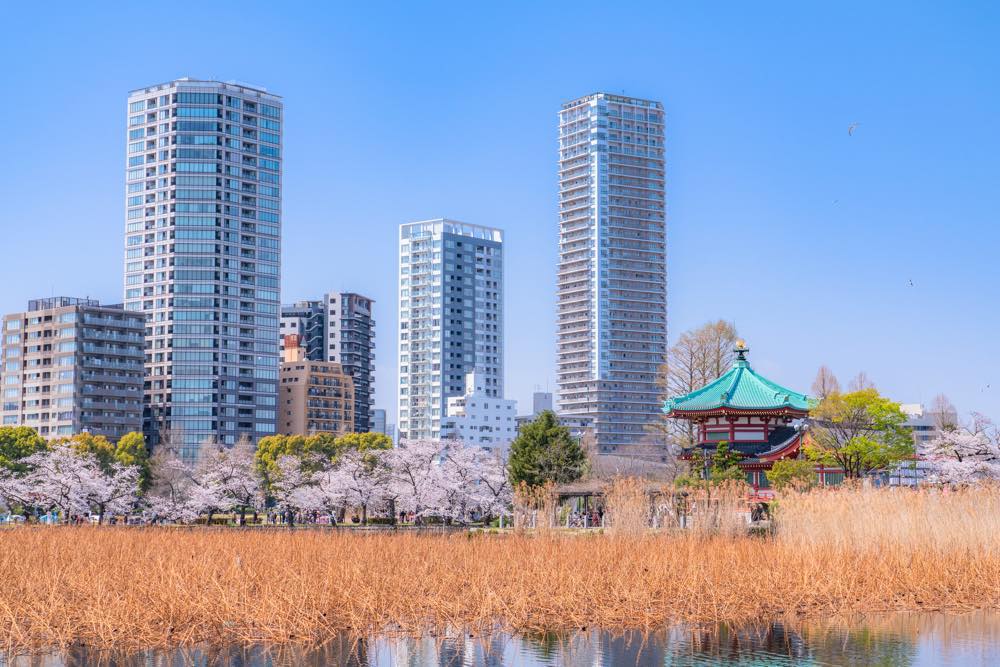 【保存版】上野で鍋ならここ！関東在住筆者おすすめの15選【コスパ最高！ちゃんこ・火鍋・しゃぶしゃぶなど】