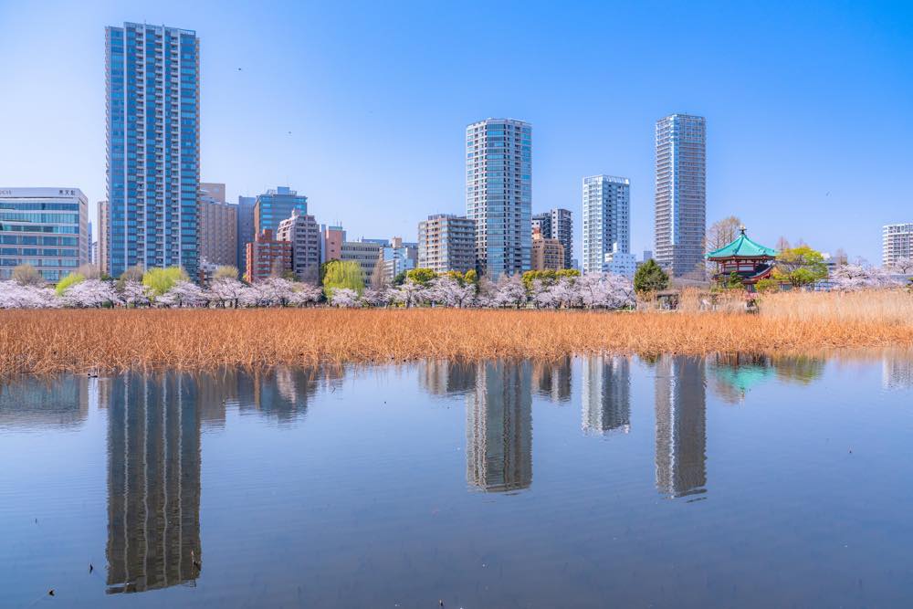 【保存版】上野のカフェランチ15選！カップルのデートや記念日にもおすすめ【全国出張グルメライターが徹底ガイド】お得なランチセットからレトロなカフェ・古民家風など