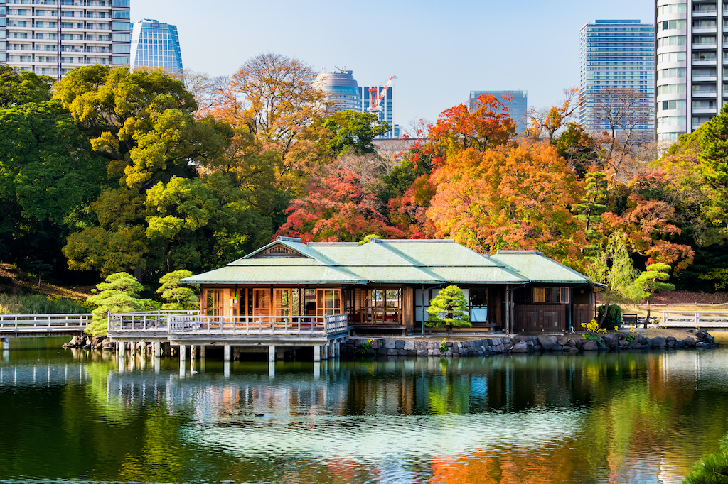 【保存版】東京の穴場デートスポット30選！絶景・鑑賞・動物など東京在住お出かけ好きな筆者が紹介