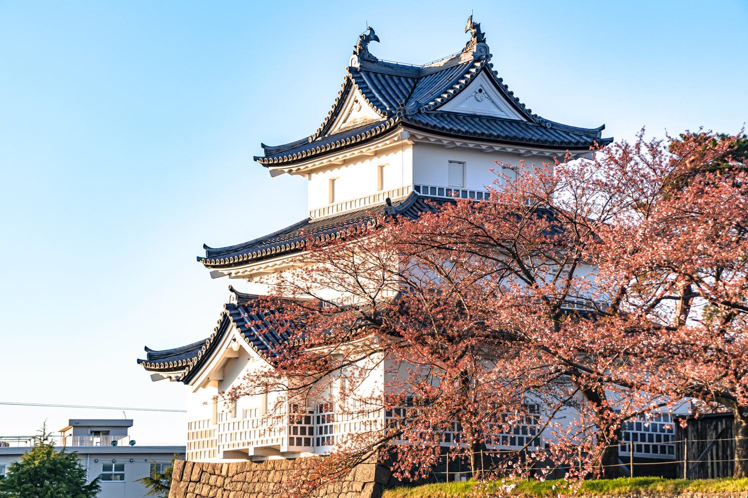 【保存版】新発田デートならここ！旅行好きライターおすすめの15スポット【パワースポット・公園・グルメなど】