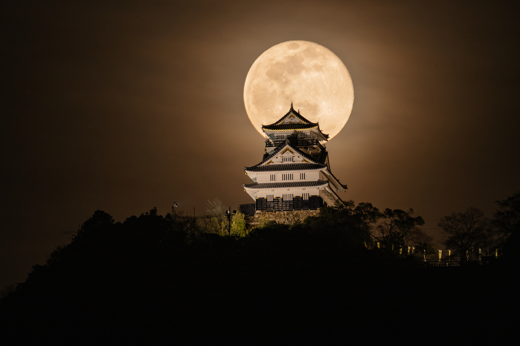 岐阜の癒しスポット15選！絶景・自然・動物・温泉など岐阜観光通の筆者が紹介