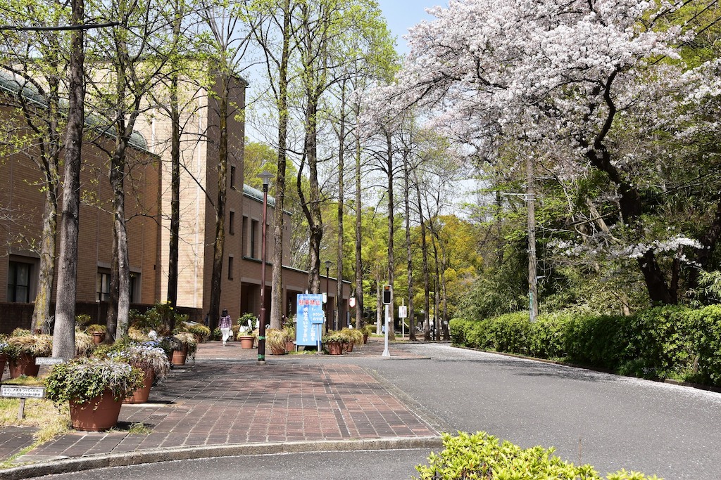 【保存版】還暦祝いの食事に！町田のお店15選！子連れOK・個室/記念日プランありなど長寿のお祝い向きのお店を都内在住者が厳選