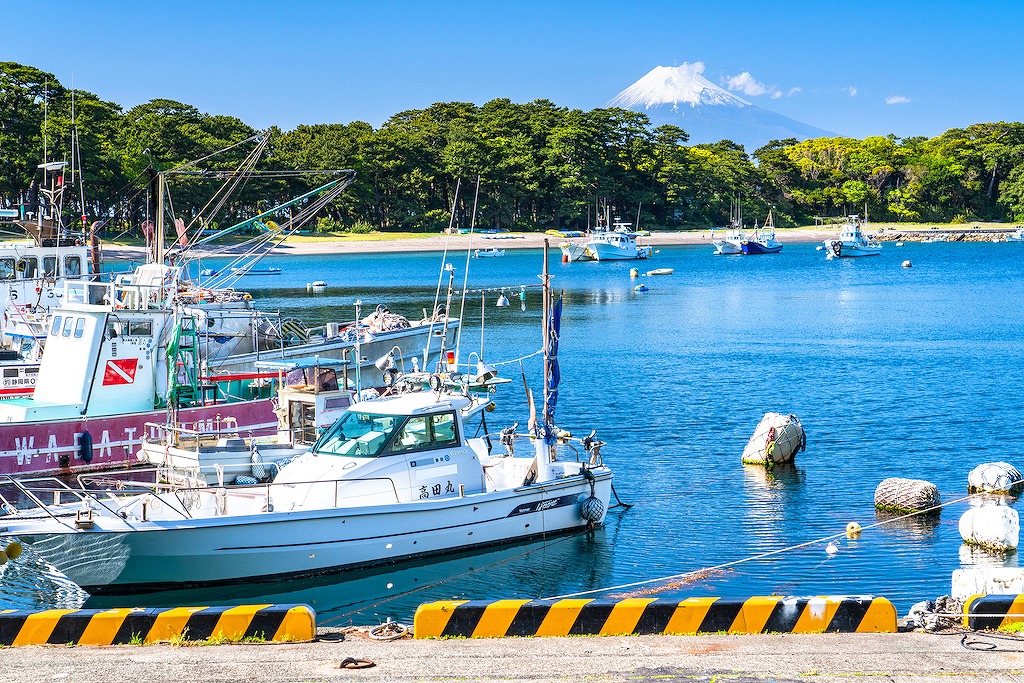 【2022年版】沼津の海鮮ランチ15選！カップルのデートや記念日にもおすすめ【静岡県民が徹底ガイド】リーズナブル・ボリューム◎・人気店など