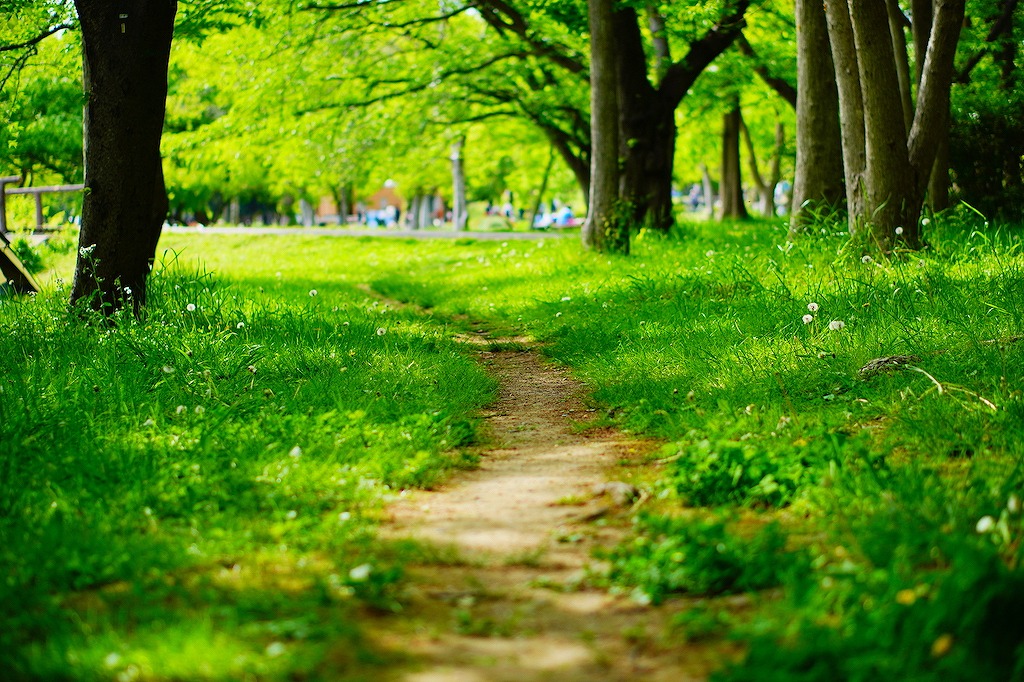 東京の犬と楽しめるスポット15選！公園・ショッピング・神社やお寺など愛犬とのお出かけが趣味な筆者が紹介！