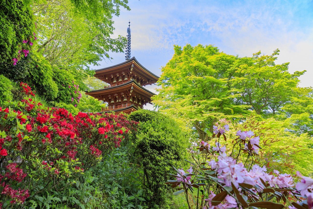 【2024年版】奈良の雨の日遊び場・暇つぶしスポット30選！ドライブ・神社仏閣・ショッピングなど旅行好きな筆者が紹介