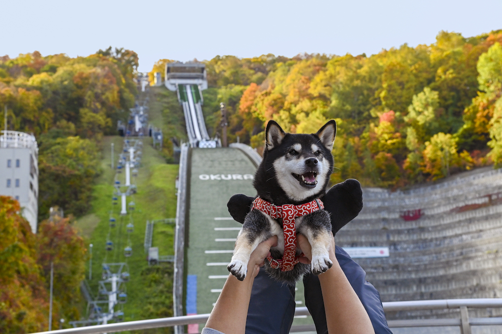 札幌の犬と楽しめるスポット15選！ホテル・公園・カフェなどお出かけ好きな筆者が紹介