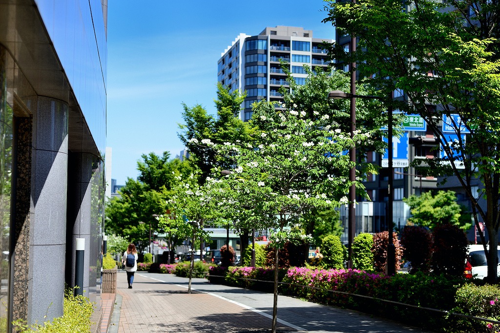 【保存版】代々木上原でカレーならここ！街の魅力を知り尽くしたグルメライターおすすめの15選【人気店・カツカレー・喫茶店・スープカレーなど】