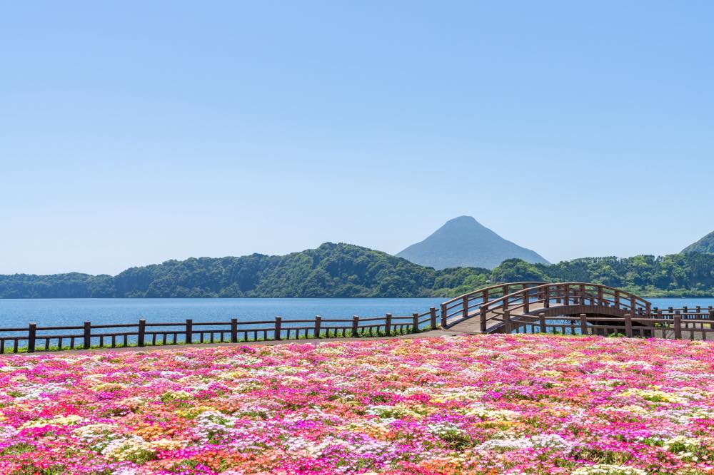 鹿児島の犬と楽しめるスポット15選！ホテル・公園・カフェなどお出かけ好きな筆者が紹介