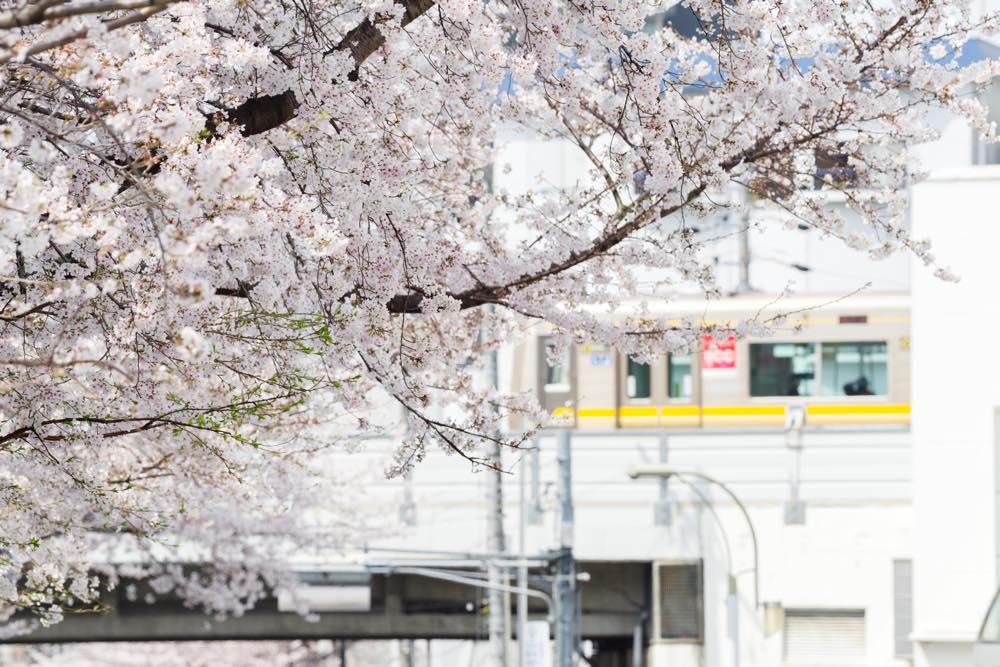 【保存版】名東区のディナー15選！カップルのデートや記念日にもおすすめ【地元民が徹底ガイド】ステーキ・イタリアン・夜カフェなど学生にも！