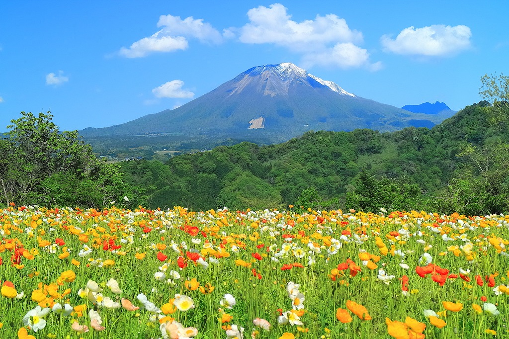 【保存版】大山のレストラン15選!カップルのデートや記念日にもおすすめ【鳥取グルメ通が徹底ガイド】新鮮魚介類・名物ジンギスカン・おしゃれカフェ・オーベルジュも