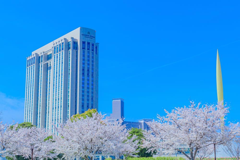 予約可 グランドニッコー東京台場で両家顔合わせにおすすめのお店5選 ホテルを熟知した旅好きの筆者が個室 和食 カフェ カジュアルに使えるお店を徹底調査 アニーお祝い体験マガジン By ギフトモール 予約可 グランドニッコー東京台場で両家顔合わせにおすすめのお店5選 ホテルを熟知した旅好きの筆者が個室 和食 カフェ カジュアルに使えるお店を徹底調査 アニーお祝い体験マガジン By ギフトモール