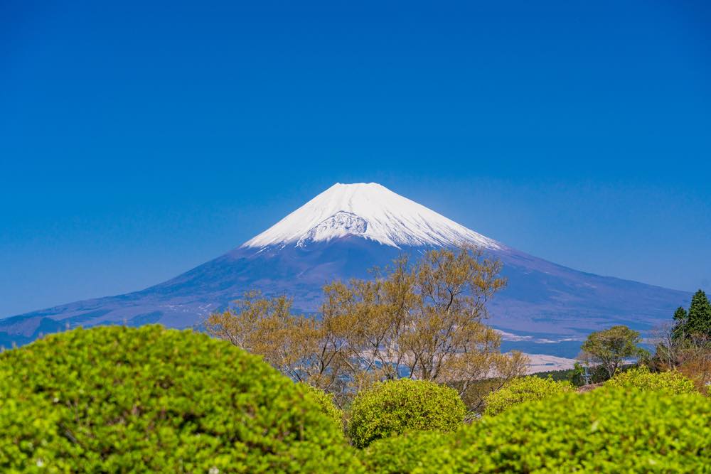 【保存版】三島のレストラン15選！カップルのデートや記念日にもおすすめ【全国出張グルメライターが徹底ガイド】チーズ・刺身・パフェやデザートなど